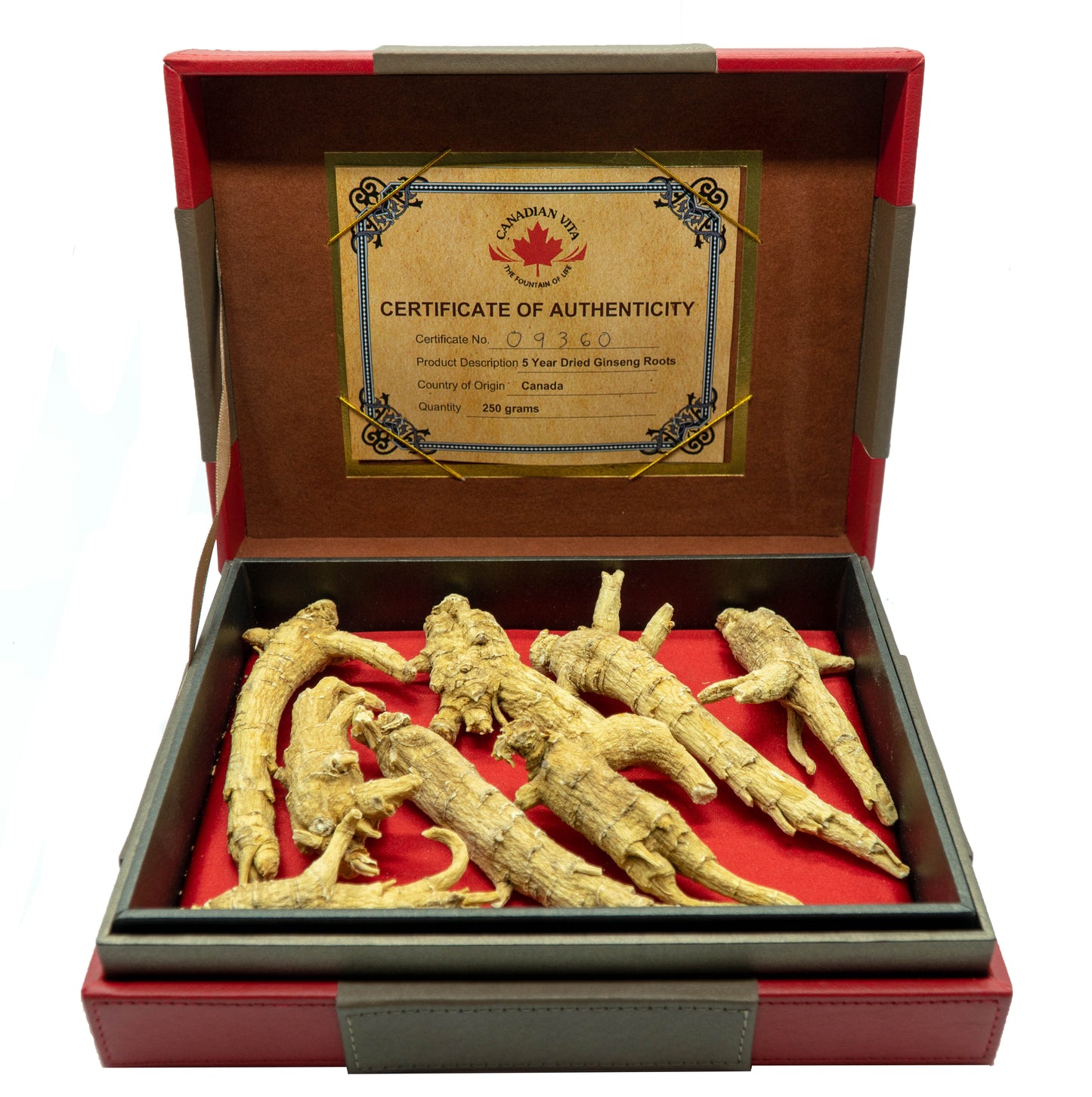 Canadian Vita Royal Ginseng Box (5 year - 250g)