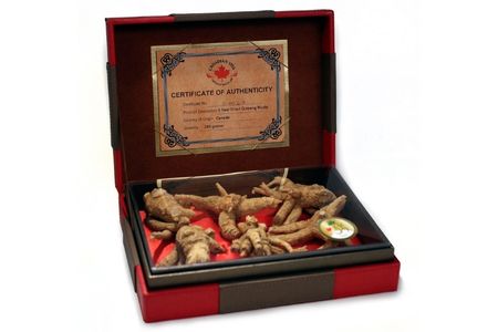 Canadian Vita Royal Ginseng Box (5 year - 250g)
